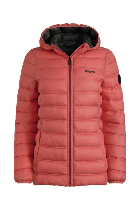Weird Fish Womens Eshka Lightweight Showerproof Padded Hooded Jacket 202998