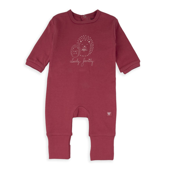 Babybol Babygro 250418 Lovely Hedgehog Family