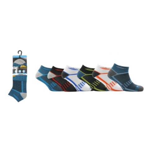 ProHike Mens Bright Mid Stripe Trainer Socks 3 Pack 3536 Assorted