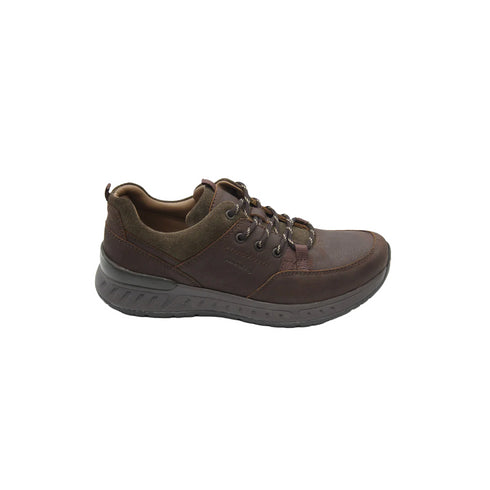 Dubarry Men’s Stamford Walking Shoe - Mahogany 5842-22