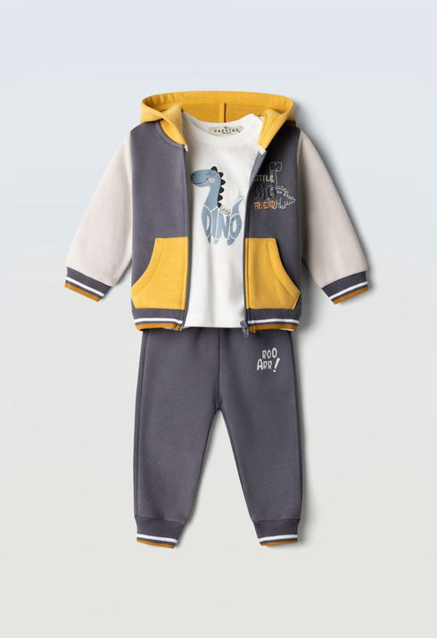 Hashtag Boys 3 Piece Little Big Friend Dinosaur Hoodie T-Shirt and Tracksuit Set 267606