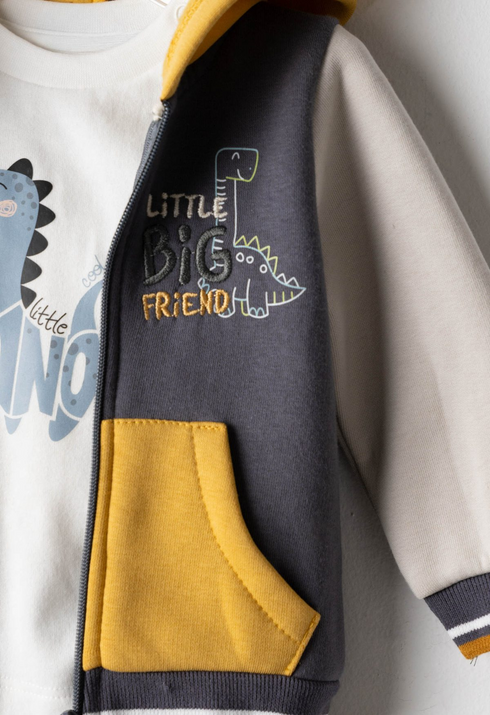 Hashtag Boys 3 Piece Little Big Friend Dinosaur Hoodie T-Shirt and Tracksuit Set 267606