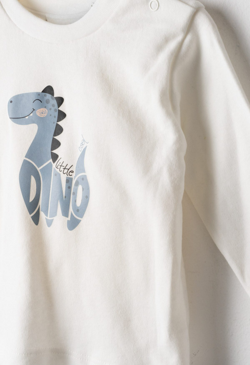 Hashtag Boys 3 Piece Little Big Friend Dinosaur Hoodie T-Shirt and Tracksuit Set 267606