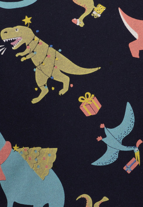 Boys Blue Seven Colourful Dinosaurs Sweatshirt – 864772