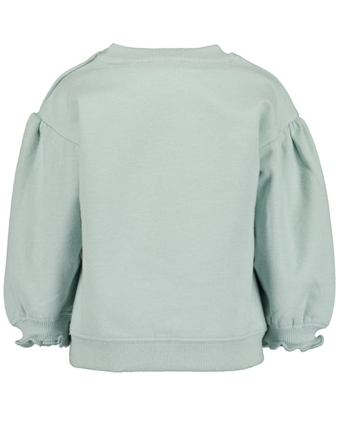 Blue Seven Toddler Girls Acorn Sweatshirt with Ruffle Sleeves – 957097