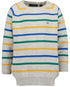 Boys Blue Seven Striped Dinosaur Logo Pullover – 869102