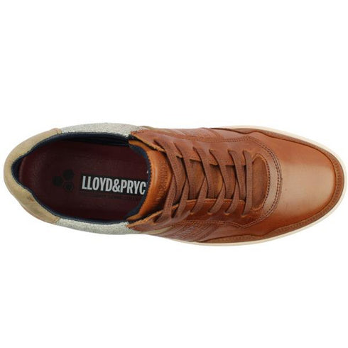 Lloyd & Pryce Tommy Bowe Kelleher