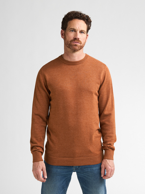 Petrol Men's Crew Neck Knitwear 2127 Copper Orange