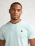 Petrol Industries Men's Windward Logo T-Shirt in Cool Mint – M-ROS-TSR002 6181