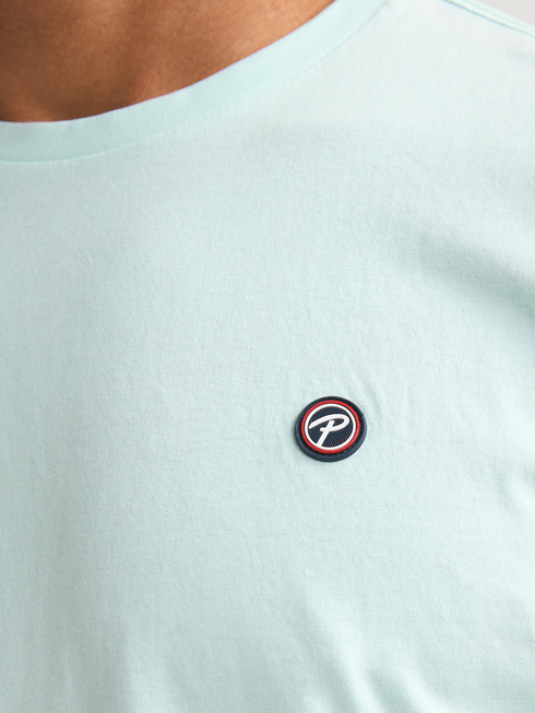 Petrol Industries Men's Windward Logo T-Shirt in Cool Mint – M-ROS-TSR002 6181