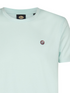 Petrol Industries Men's Windward Logo T-Shirt in Cool Mint – M-ROS-TSR002 6181
