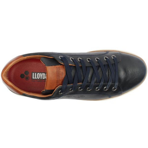 Tommy Bowe Lloyd & Pryce McCloskey