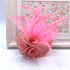 Womens Fascinator / Head Piece DO1