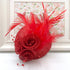 Womens Fascinator / Head Piece DO1