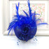 Womens Fascinator / Head Piece DO1