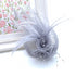 Womens Fascinator / Head Piece DO1